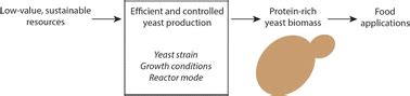 Is Yeast Protein the Future of Sustainable Nutrition?