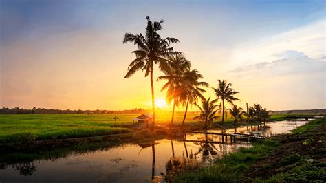  The Malay Kampung: A Glimpse into Traditional Life and Vibrant Hues!