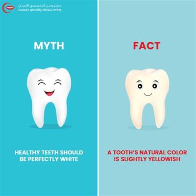 What Should Healthy Teeth Look Like: A Journey Through the Enamel Jungle